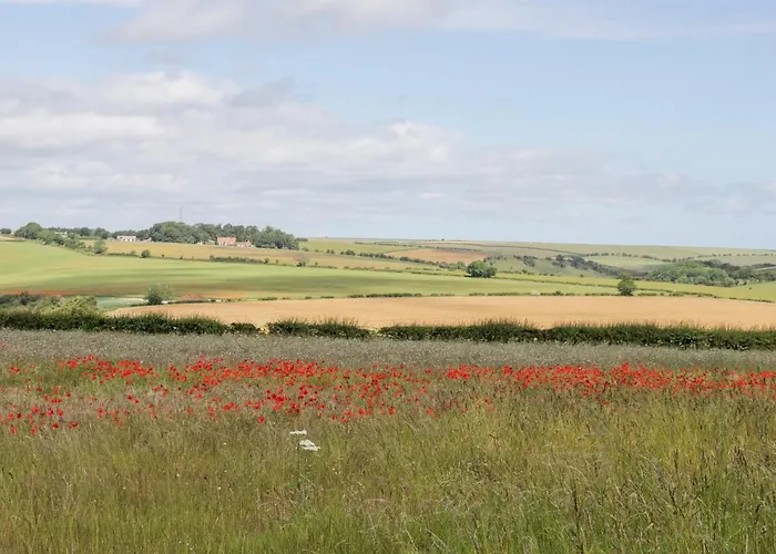 Ferienhaus Lavender York
